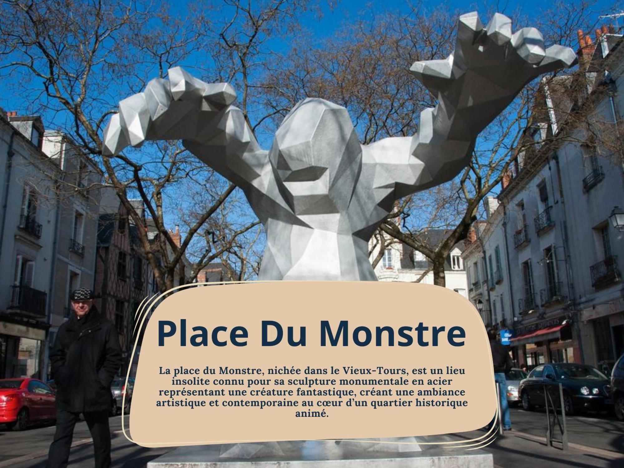 Begonia - Place Plumereau Tours Extérieur photo